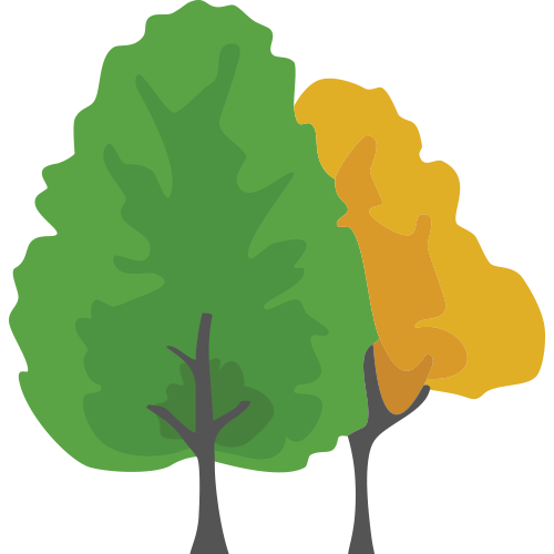Trees